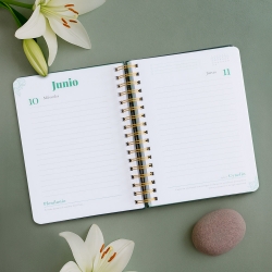 Agenda anual diaria 2026 "DiccionarioVip"