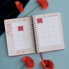 Pack Agenda anual diaria 2026+ Libreta tapa dura Sara Búho