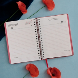 Pack Agenda anual diaria 2026+ Libreta tapa dura Sara Búho